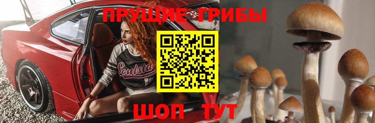 Галлюциногенные грибы MAGIC MUSHROOMS  купить наркотики цена  Маркс  Псилоцибиновые грибы Psilocybine cubensis  Вход с VPN 